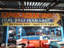 Kisah Penjual Ikan Pulau Baai Sukses Berkat Pinjaman BRI