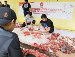 PKS Bengkulu Tebar Daging Kurban Untuk Masyarakat