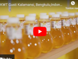 Video IKM KWT Gusti Kalamansi Bengkulu