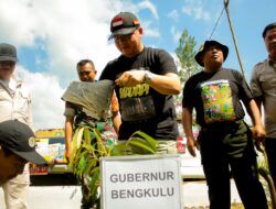 Gubernur Bengkulu: Harimau Adalah Indikator Hutan Sehat