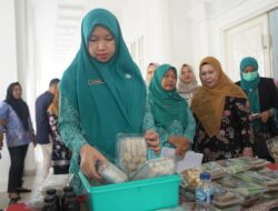Optimalkan Program Kerja, TP PKK Provinsi Bengkulu Lakukan Pembinaan 10 Program Pokok PKK