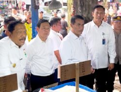 Ketua DPD RI Sultan B Najamuddin Bersama Mentan Pantau Harga Beras Pasar Panorama