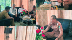 Terkait Surat Penghentian Pembangunan Kios Eks Pasar Mambo, Suhartono Angkat Bicara