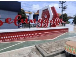 Walikota dan Pemerintah Kota Jambi Bakal Meriahkan CFN Belungguk Poin Malam Ini