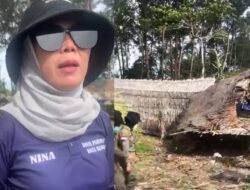 Pemkot Bengkulu Bongkar Puluhan Gazebo Kumuh Pantai Panjang, 100 Gazebo Gratis  Untuk Wisatawan