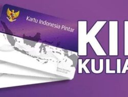 Pemerintah Klaim Anggaran KIP Kuliah Terus Meningkat, Akses Pendidikan Tinggi Tetap Terjaga