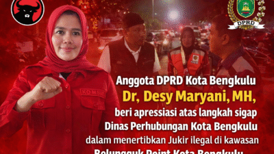Anggota DPRD Kota Desy Maryani Apresiasi Langkah Dishub Tertibkan Jukir Ilegal di Belungguk Point