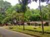 Taman Remaja Bengkulu Bakal Jadi Makam Fatmawati Soekarno dari Jakarta ke Kampung Halamannya