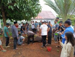 Jumlah Hewan Kurban di Bengkulu Melonjak Jadi 12.199 Ekor, Kesadaran Berbagi Meningkat!