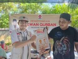 Rayakan Idul Adha, DPW PKS Bengkulu Sembelih 3 Sapi di Kantor Wilayah