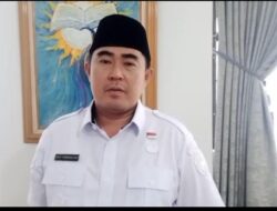 Mangkir di Panggilan 1, Pemkot Bengkulu Bakal Panggil Ulang Pelaku Penebangan Pohon di Pantai Panjang