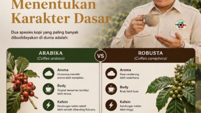 ASKI Bengkulu Ajak Masyarakat Kenali Perjalanan Kopi: Rasa Berbeda Karena Proses dari Kebun hingga Cangkir