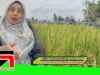 Kepala BPN Bengkulu Euis Yeni Syarifah: Jangan Salah Gunakan Lahan LSD, Ada Sanksi Hukum Menanti!